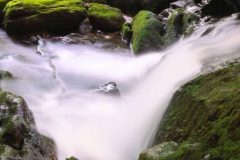 Cashelkeelty-30.07.2013_011