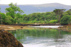 Castletown-Dunboy-Ca.30.07.2013_001