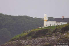 Dingle-Leuchti-01.08.2013_003