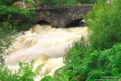 Galways-River-Bridge-01.08.2013_002