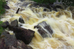 Galways-River-Bridge-01.08.2013_024