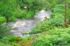 Galways-River-Bridge-01.08.2013_045