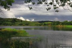 Loch-Gougane-Barra-28.07.2013_012