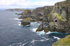 Mizen-Head-29.07.2013_019