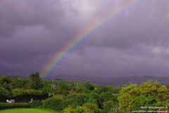 Regenbogen-R-569-01.08.2013_008