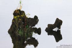 River-Lee-Stausee-28.07.2013_004