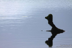 River-Lee-Stausee-28.07.2013_007