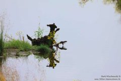 River-Lee-Stausee-28.07.2013_015