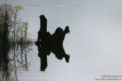 River-Lee-Stausee-28.07.2013_016
