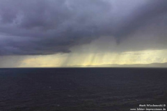 Sheep´s-Head-29.07.2013_007