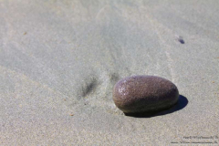 Strand-Corrownisky-04.08.2013_003