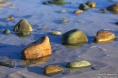 Strand-Gowlaun-04.08.2013_009