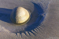 Strand-Gowlaun-04.08.2013_017
