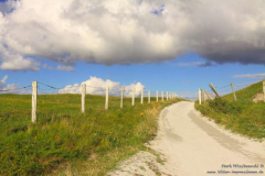 Strand-bei-Callow-07.08.2013_019