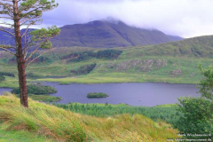 Tawnyard-Loch-08.08.2013_001