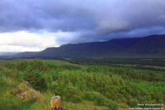 Tawnyard-Loch-08.08.2013_008