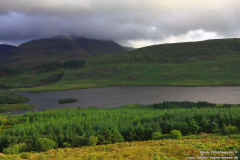 Tawnyard-Loch-08.08.2013_019