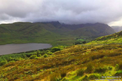 Tawnyard-Loch-08.08.2013_025