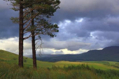 Tawnyard-Loch-08.08.2013_028