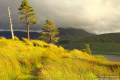Tawnyard-Loch-08.08.2013_032