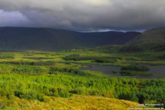 Tawnyard-Loch-08.08.2013_037