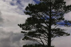 Tawnyard-Loch-09.08.2013_018