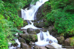 Torc-Wasserfall-02.08.2013_017