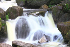 Torc-Wasserfall-02.08.2013_027