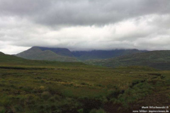 Torf-Tullyconor-08.08.2013_005