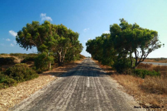 Alte-Strasse-nach-Sagres-27.07.08__1