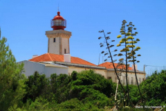 Farol-de-Alfanzina-30.07.08__003