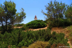 Farol-de-Alfanzina-30.07.08__010