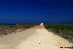 Pontal-31.07.08__002