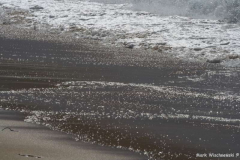 Praia-da-Bordeira-02.08.08__020