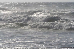 Praia-da-Bordeira-02.08.08__052
