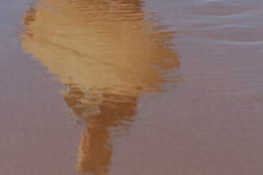 Praia-da-Bordeira-29.07.08__047