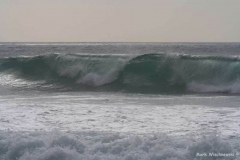 Praia-da-Cordam-22.07.08__032