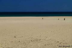 Praia-de-Furnaz-westt.-Zavial-27.07.08__020
