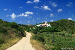 Praia-de-Zavial-27.07.08__005