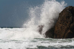 Praia-do-Amado-23.07.08__025