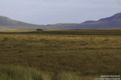 An-Dubh-Loch-A-838-24.08.2011_03