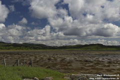 Ardpatrick-15.07.2015_036