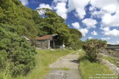 Ardpatrick-15.07.2015_045