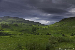 Ardslignish-30.06.2015_006