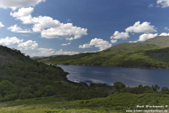 B8043-03.07.2015_019