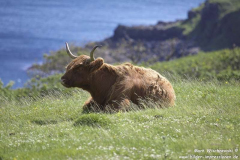 B8073-Loch-Thuart-08.07.2015_004