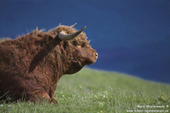 B8073-Loch-Thuart-08.07.2015_021