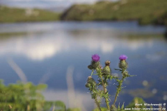 B869-near-Drumbeg-19.07.2016_004