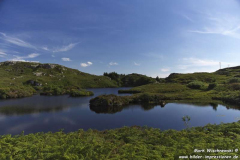 B869-near-Drumbeg-19.07.2016_007