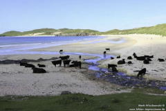Balnakeil-Bay-25.08.2011_01